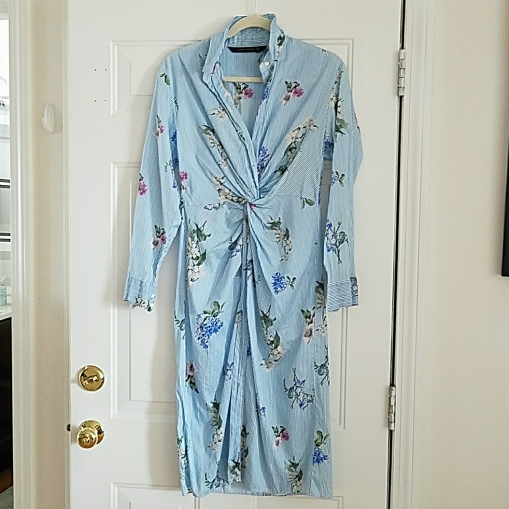 Zara Woman Blue and Floral Striped Dress